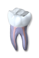 Gentle Endodontics logo