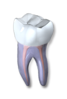 Gentle Endodontics logo